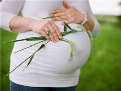 孕晚期要补充这些营养